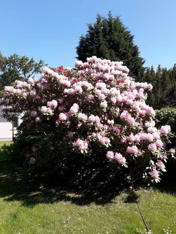Ferienhaus Am Langen See III Heidesee Екстериор снимка